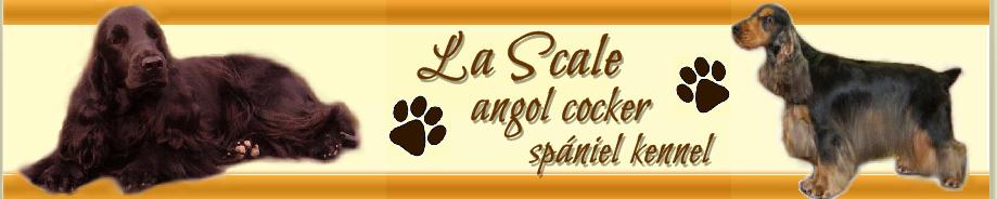 La Scale angol cocker spniel kennel